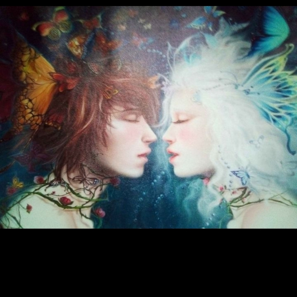 SALE~ NEW! CANVAS BUTTERFLY LOVES